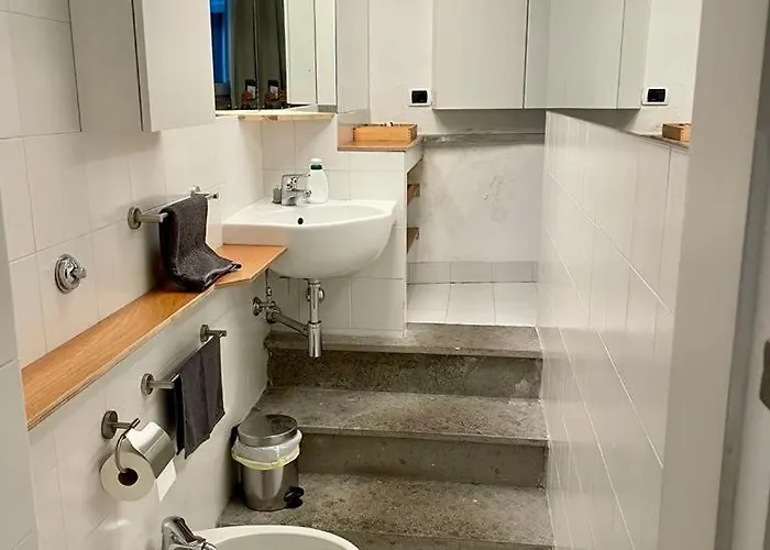 Farnesina Ponte Milvio Foro Italico Luxury Loft With Private Box Parking Apartment